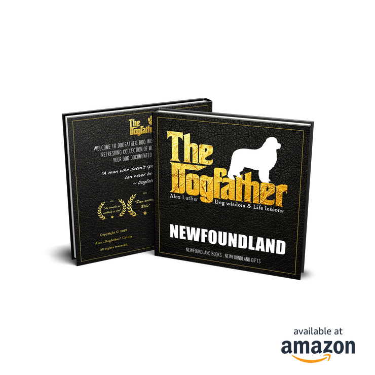 Newfoundland Book - The Dogfather: Dog wisdom & Life lessons