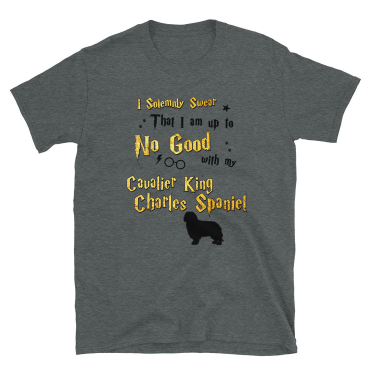 I Solemnly Swear Shirt - Cavalier King Charles Spaniel T-Shirt