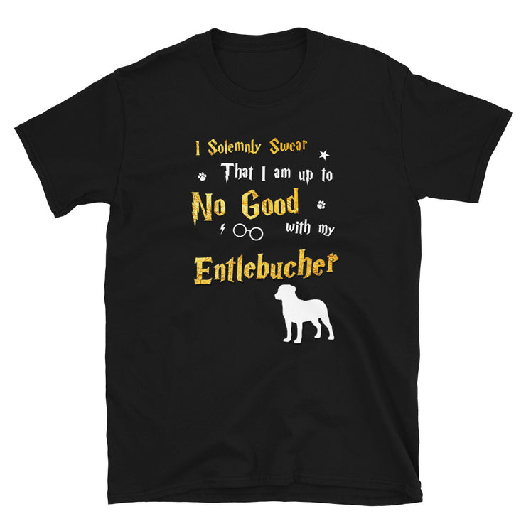 I Solemnly Swear Shirt - Entlebucher Shirt