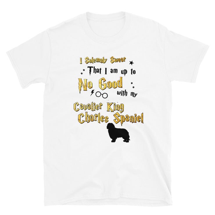 I Solemnly Swear Shirt - Cavalier King Charles Spaniel T-Shirt